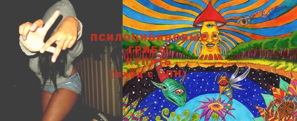 не бодяженный Каменск-Шахтинский