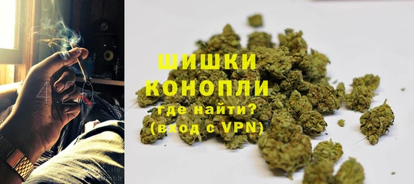 бошки Каменногорск